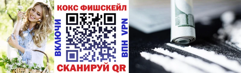 COCAIN Fish Scale  мега как войти  Белоусово  где продают  