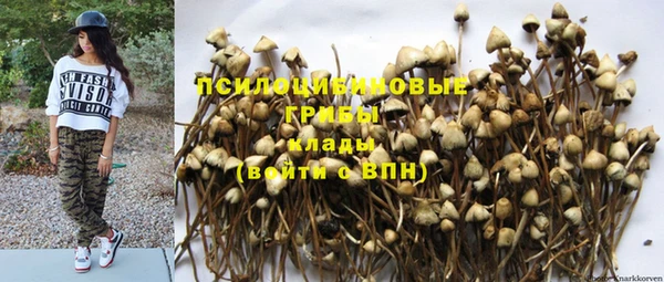 прущие крисы Абдулино