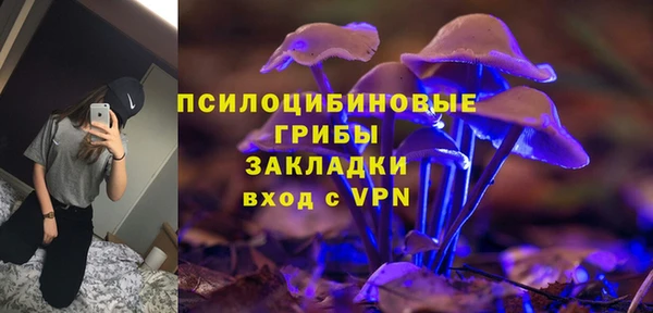 СК Абинск